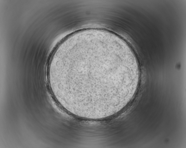 X0000115601030200912221142