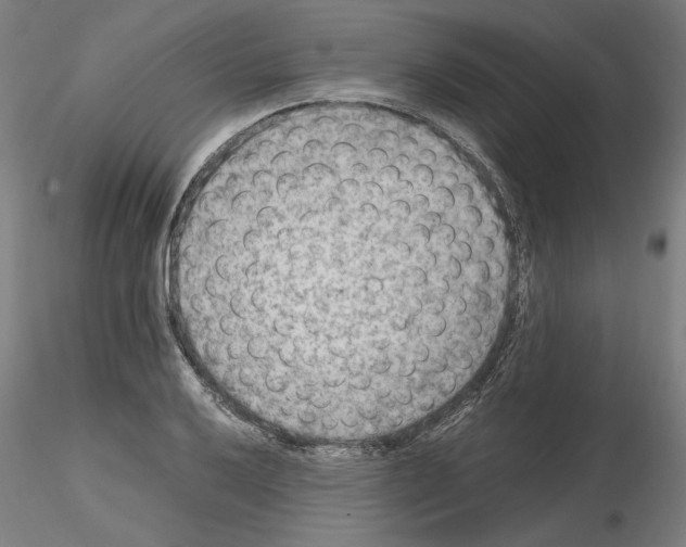 X0000115601032200912221142