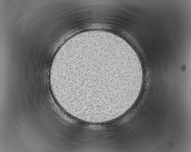 X0000115601033200912221142
