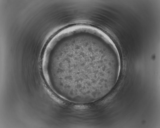 X0000115601037200912221142