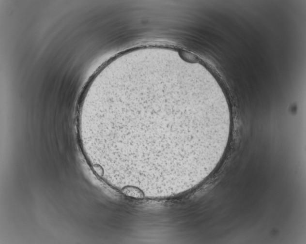 X0000115601038200912221142