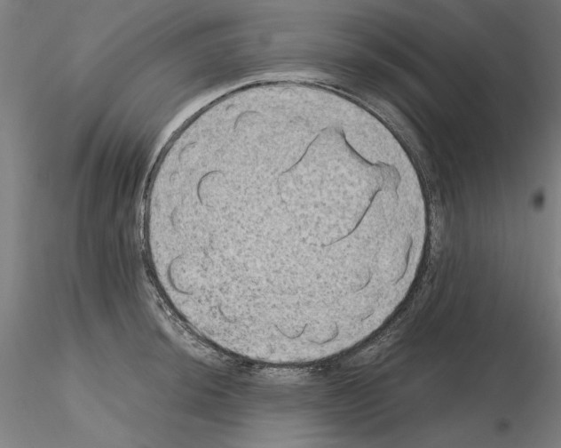 X0000115601044200912221142