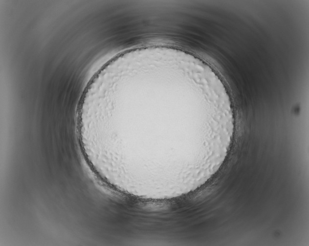 X0000115601047200912221142