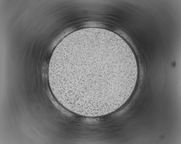 X0000115601049200912221142