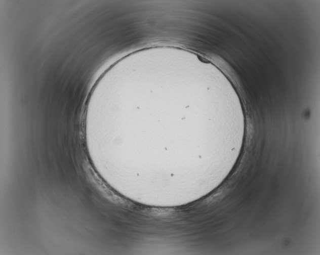 X0000115601052200912221142
