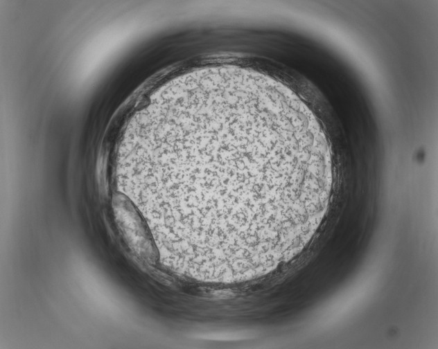 X0000115601054200912221142