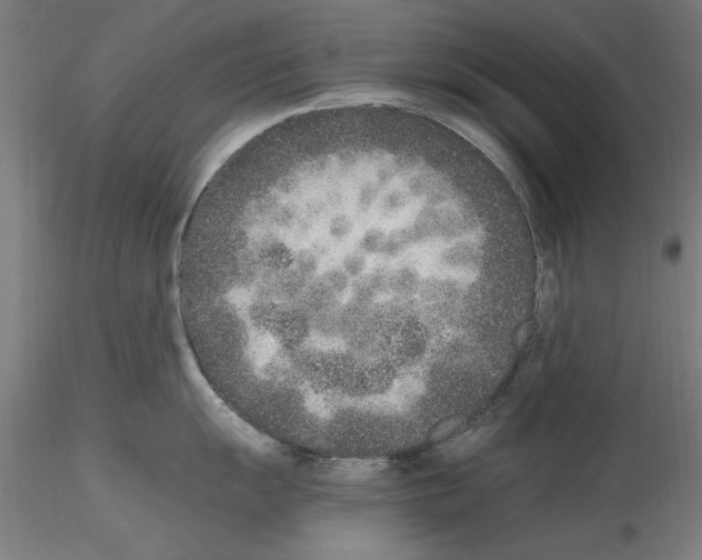 X0000115601055200912221142