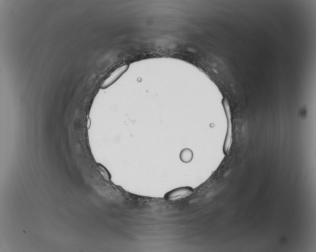 X0000115601057200912221141