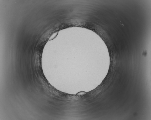 X0000115601058200912221141