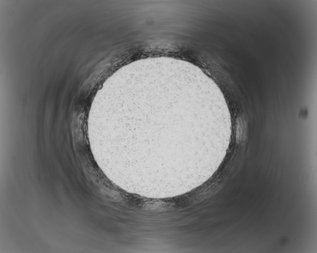 X0000115601059200912221141