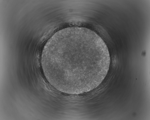 X0000115601060200912221141