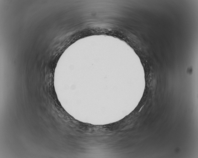 X0000115601061200912221141