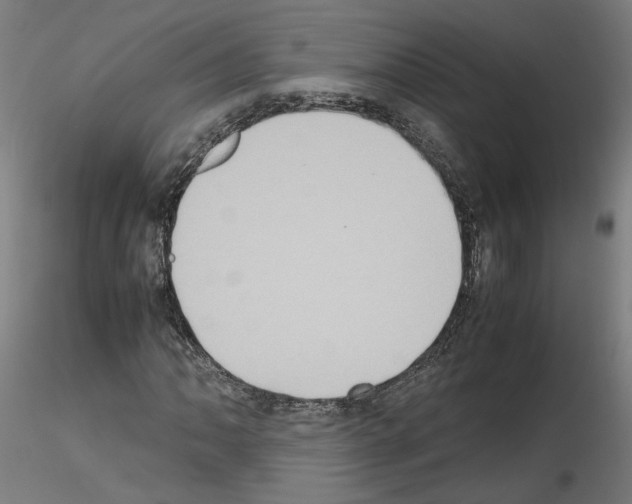 X0000115601062200912221141