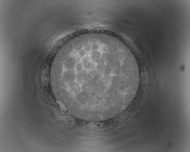 X0000115601063200912221141