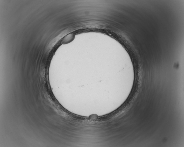 X0000115601065200912221141