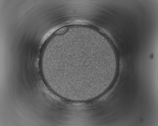 X0000115601066200912221141