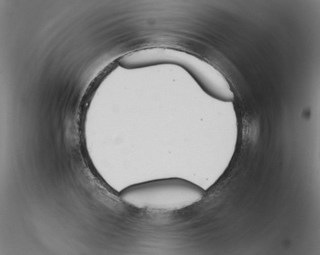 X0000115601068200912221141