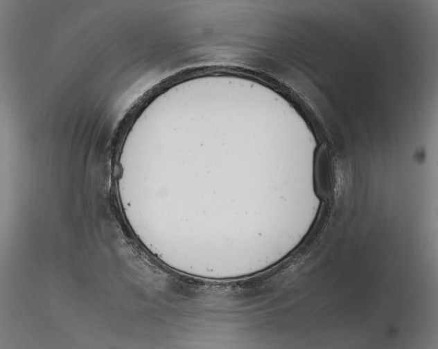 X0000115601069200912221141