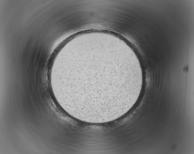 X0000115601070200912221141