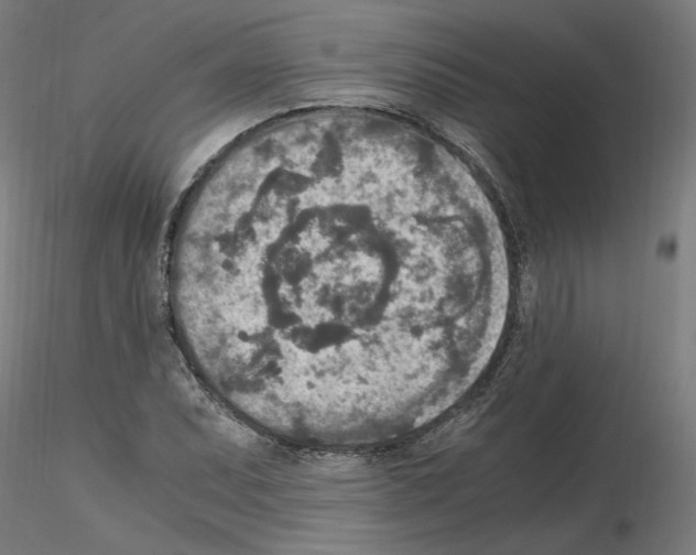 X0000115601071200912221141