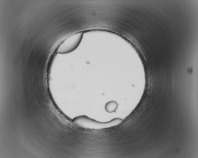 X0000115601072200912221141