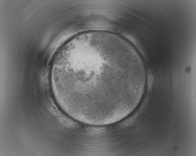 X0000115601074200912221141