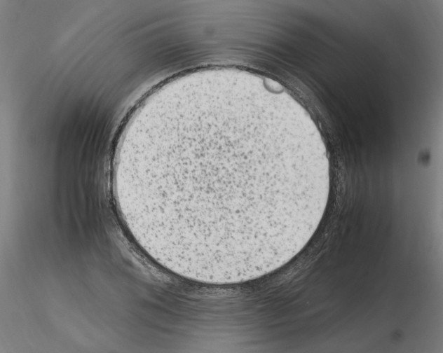 X0000115601076200912221141