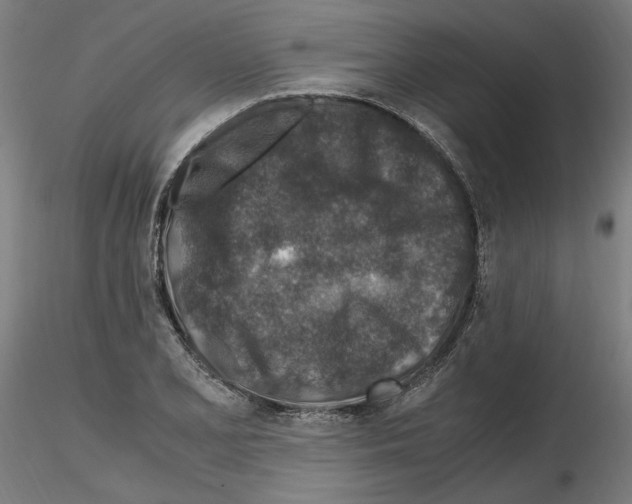 X0000115601077200912221141