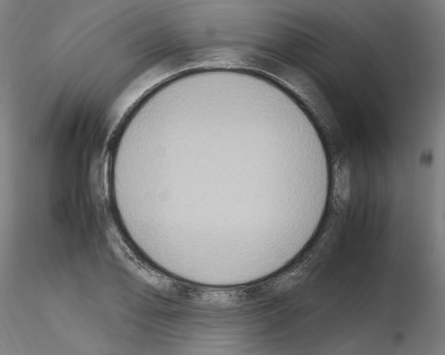 X0000115601078200912221141