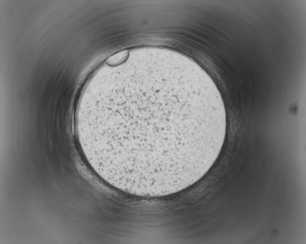 X0000115601080200912221141