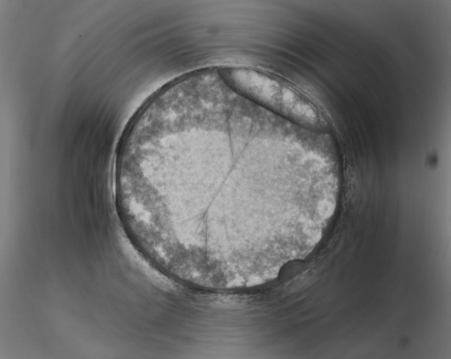 X0000115601084200912221141