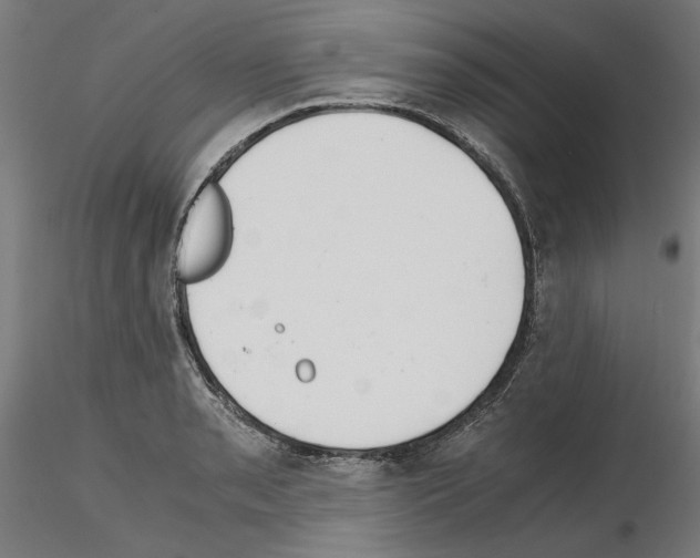 X0000115601085200912221141