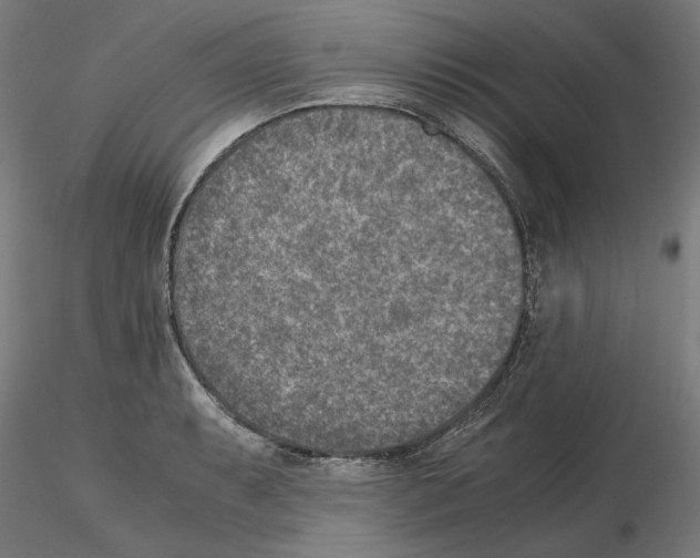 X0000115601087200912221141