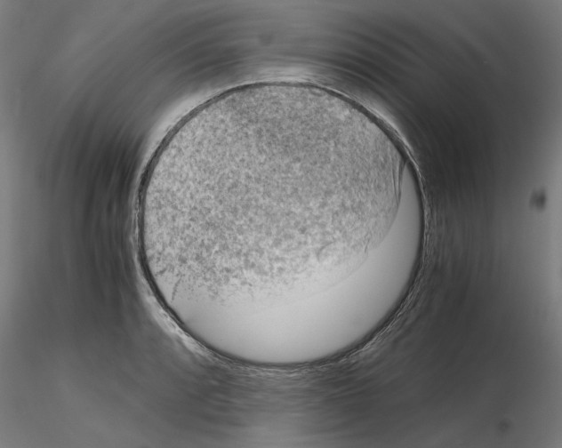 X0000115601088200912221141