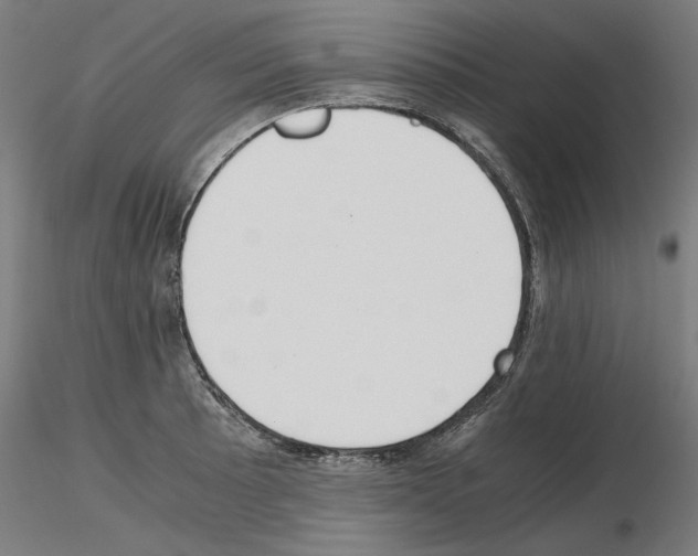 X0000115601089200912221141