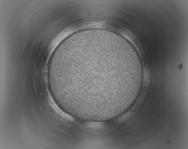 X0000115601090200912221141