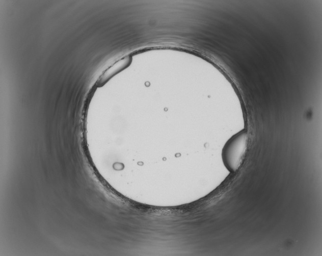 X0000115601093200912221141