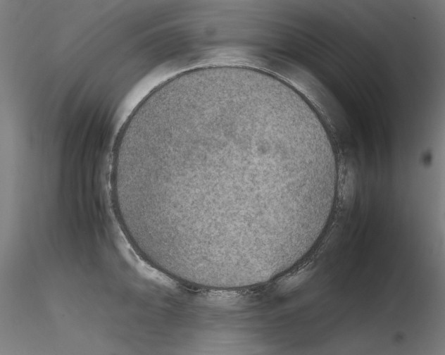 X0000115601094200912221141