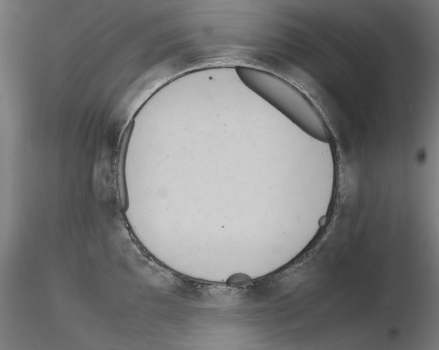 X0000115601097200912221141