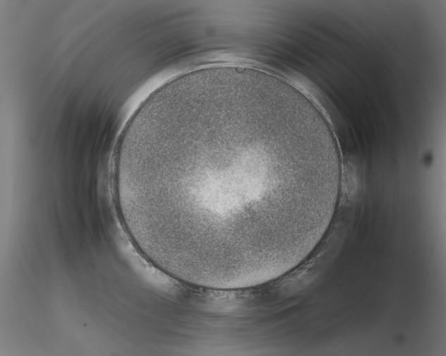 X0000115601098200912221141