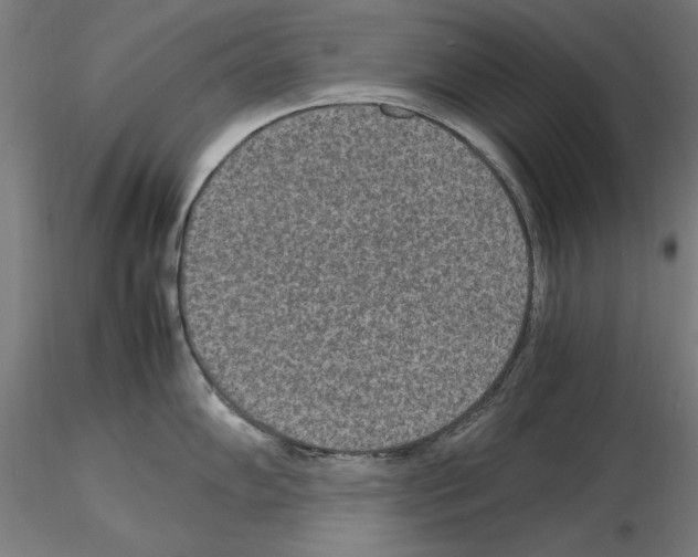 X0000115601102200912221141