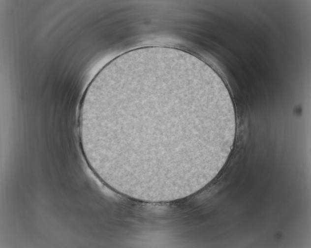 X0000115601103200912221141