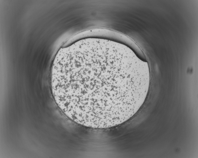 X0000115601104200912221141