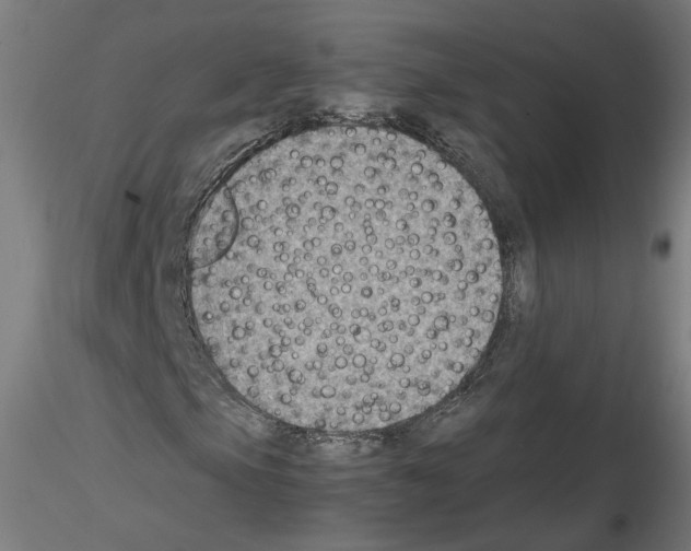 X0000115601105200912221140