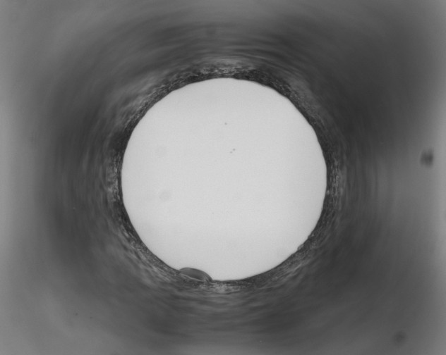 X0000115601109200912221140