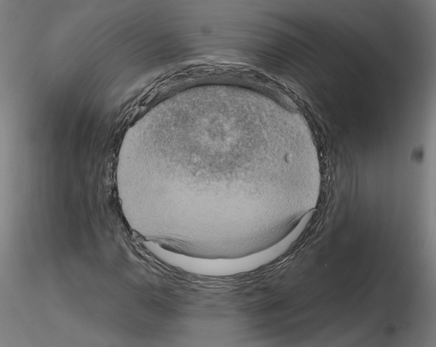 X0000115601110200912221140