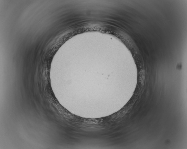 X0000115601111200912221140