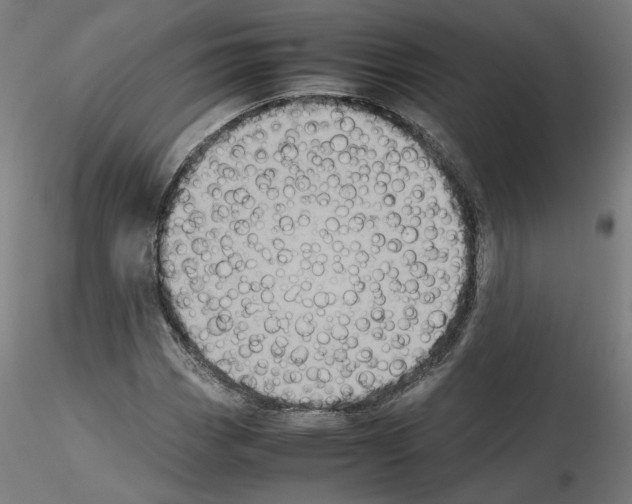 X0000115601113200912221140