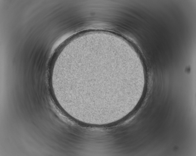 X0000115601114200912221140