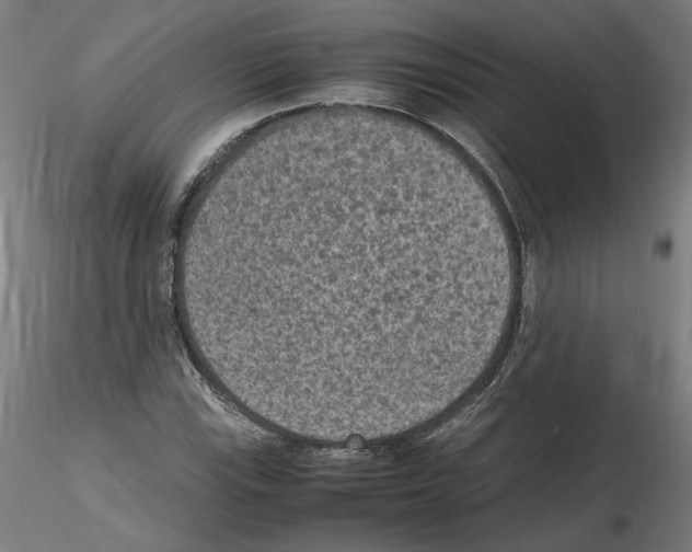 X0000115601115200912221140